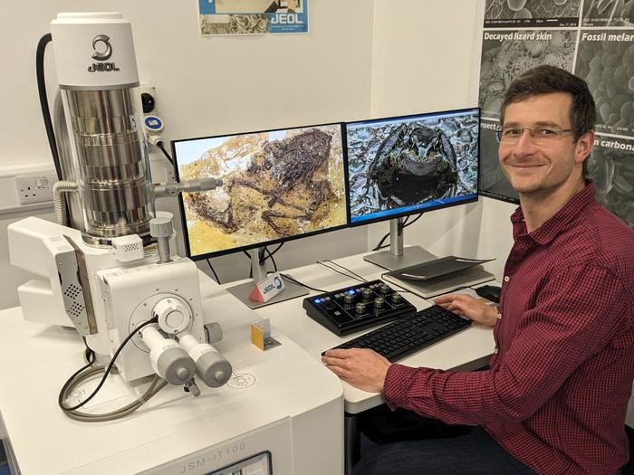 Daniel Falk bada skamieniałe próbki skóry żaby Geiseltal za pomocą mikroskopu elektronowego / źródło: Daniel Falk, EurekAlert, mat. prasowe
